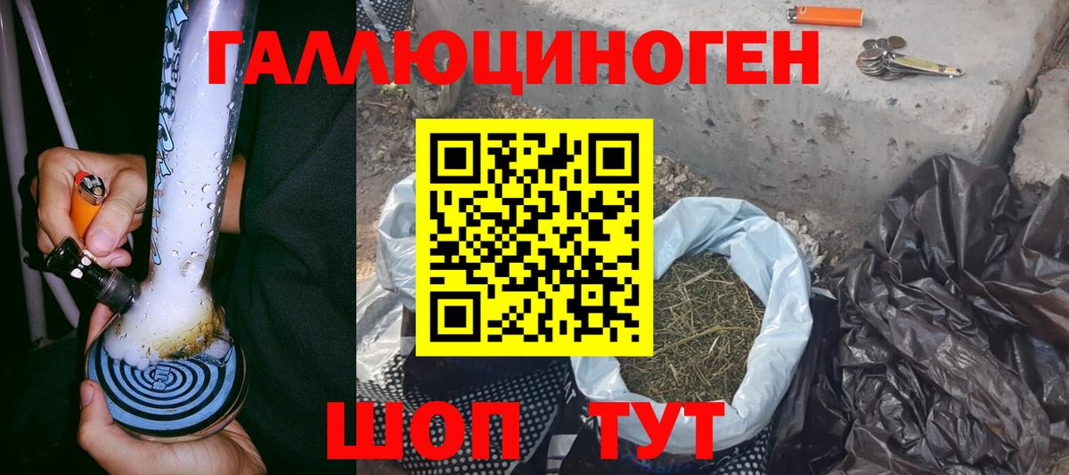 Галлюциногенные грибы Psilocybine cubensis Зеленогорск