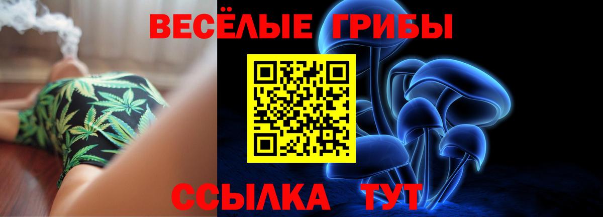 Псилоцибиновые грибы прущие грибы  где продают наркотики  Галлюциногенные грибы мицелий  Зеленогорск  Вход с VPN 