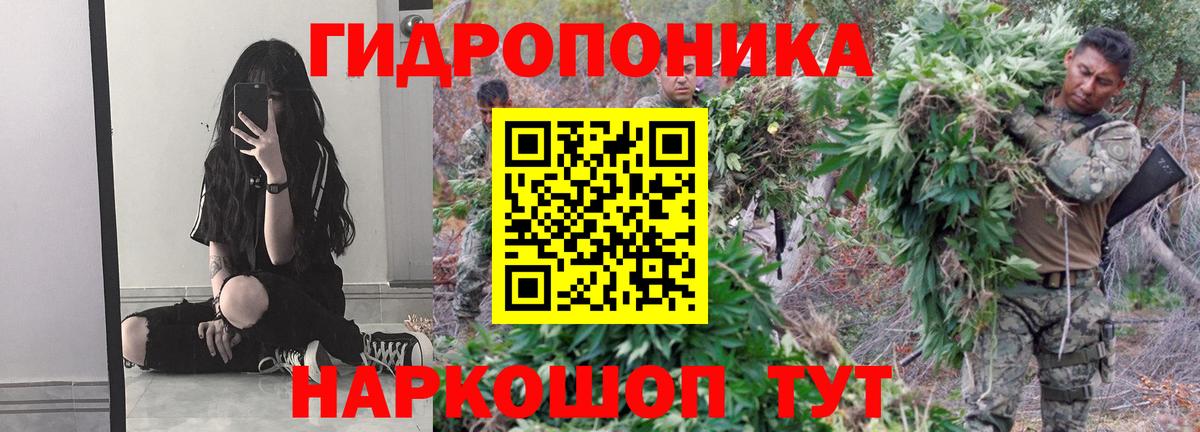 Марихуана ГИДРОПОН Зеленогорск